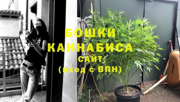 PSILOCYBIN Арсеньев