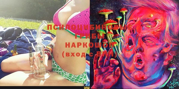 PSILOCYBIN Арсеньев