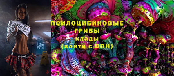PSILOCYBIN Арсеньев